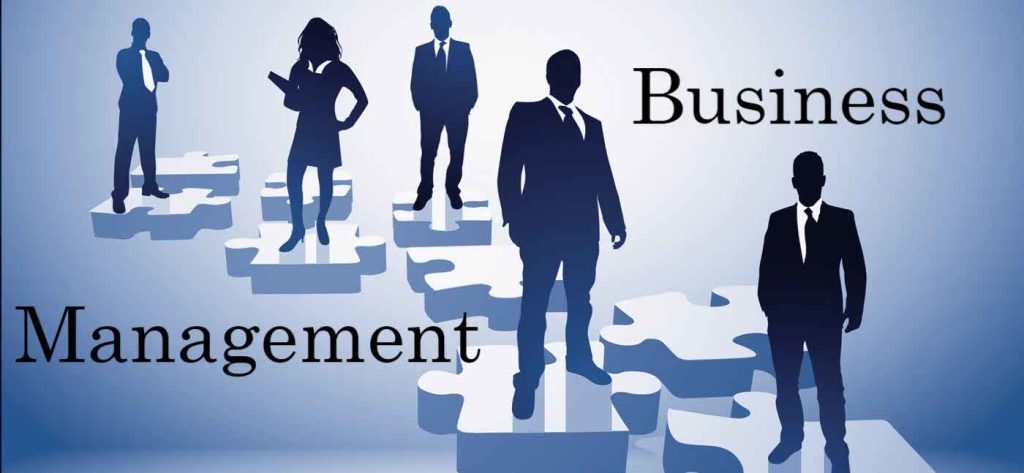 MBA in business management