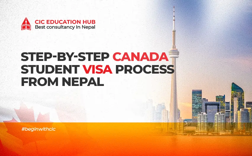 cic step wise step visa process