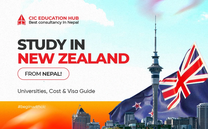 new zealand blog banner